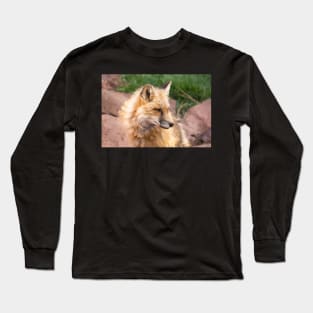 Young fox. Long Sleeve T-Shirt